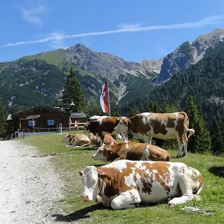 Moesererhof Hotel Mösern